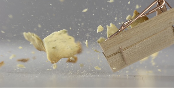 VideoHive Cracker is Falling on a Mousetrap 9842982 VideoHive Cracker is Falling on a Mousetrap 9842982