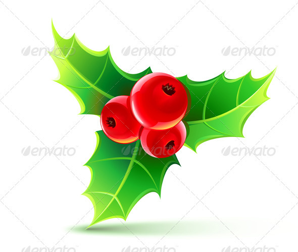Holly Leaves and Berries Holly Leaves and Berries