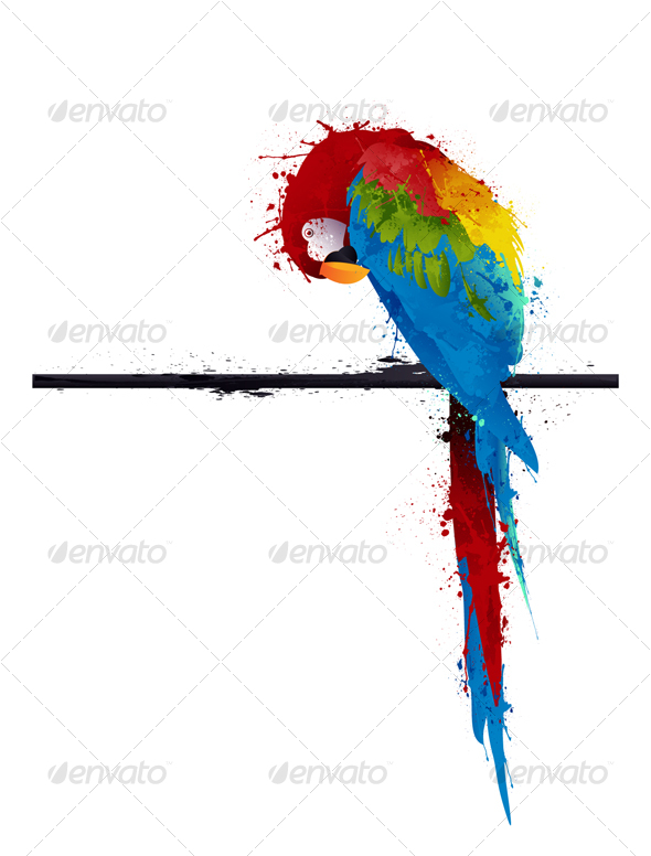 Vector Parrot Parakeet, Graffiti