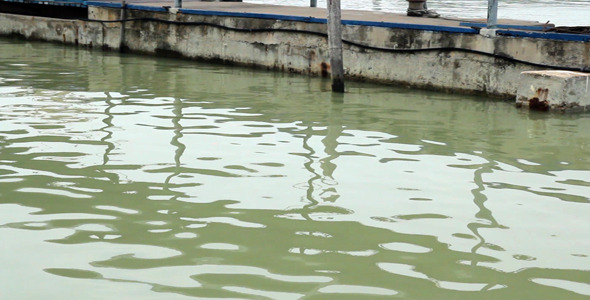 The Dock The Dock