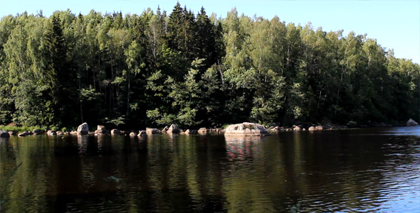 The Forest On The Island The Forest On The Island