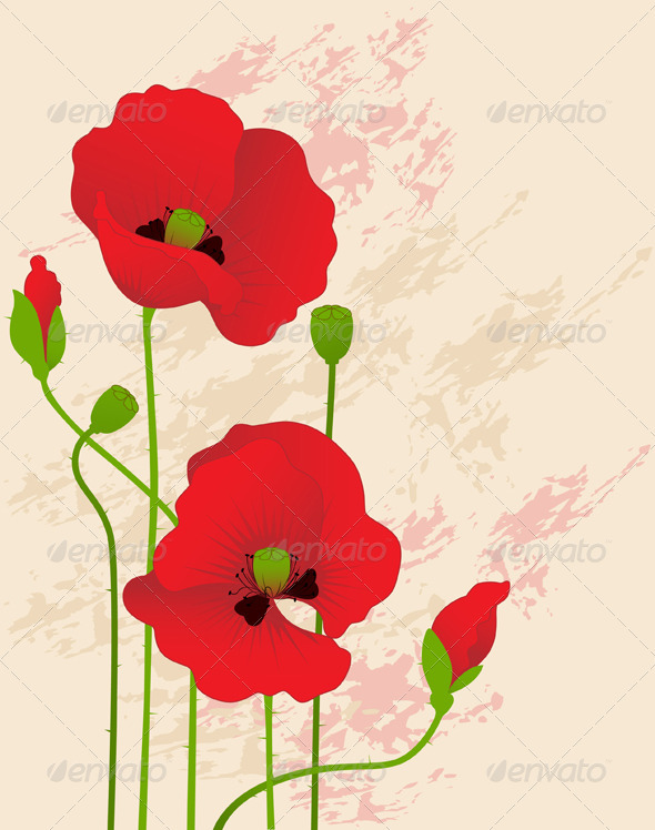 Floral Background with Red Poppies Floral Background with Red Poppies