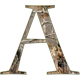 alibasterjones