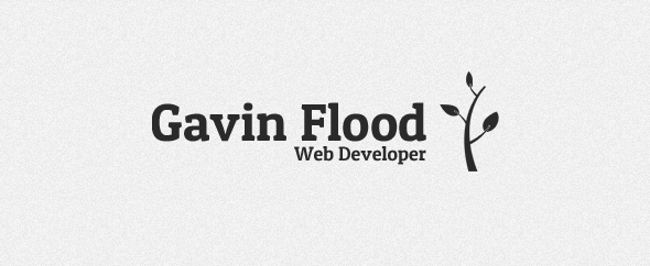 gavinflud