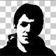 dodimir