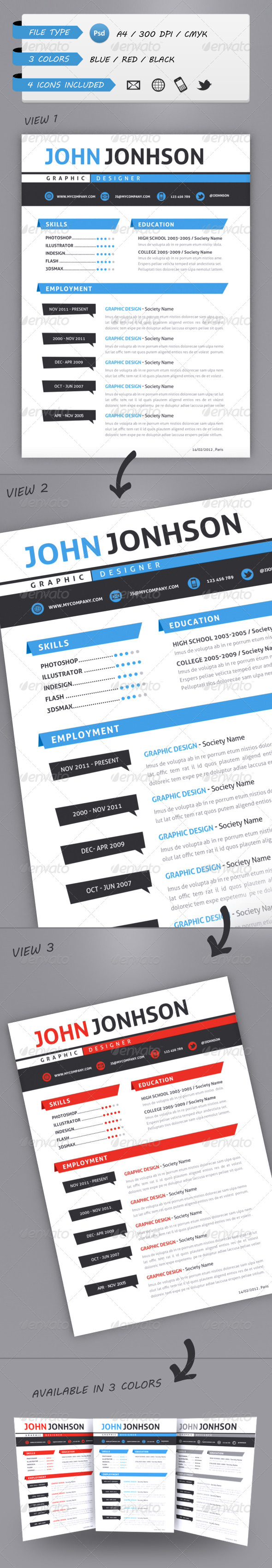 Professional Resume Template A4