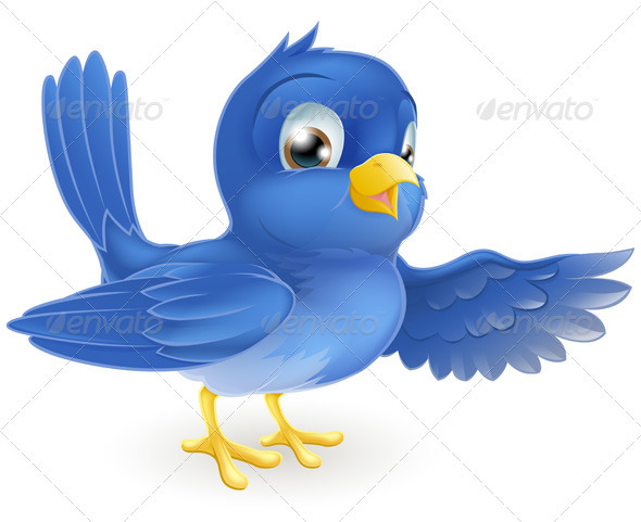 Bluebird pointing Bluebird pointing