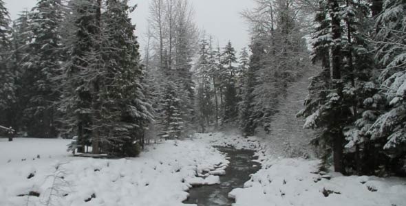Snowy River Snowy River