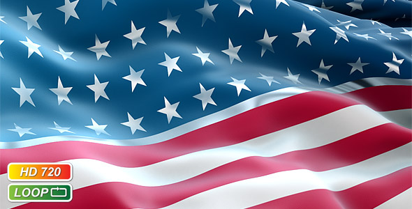 Stylized USA Flag Stylized USA Flag