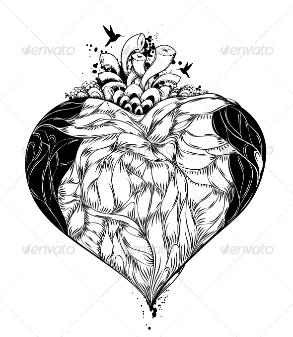 illustration of heart illustration of heart