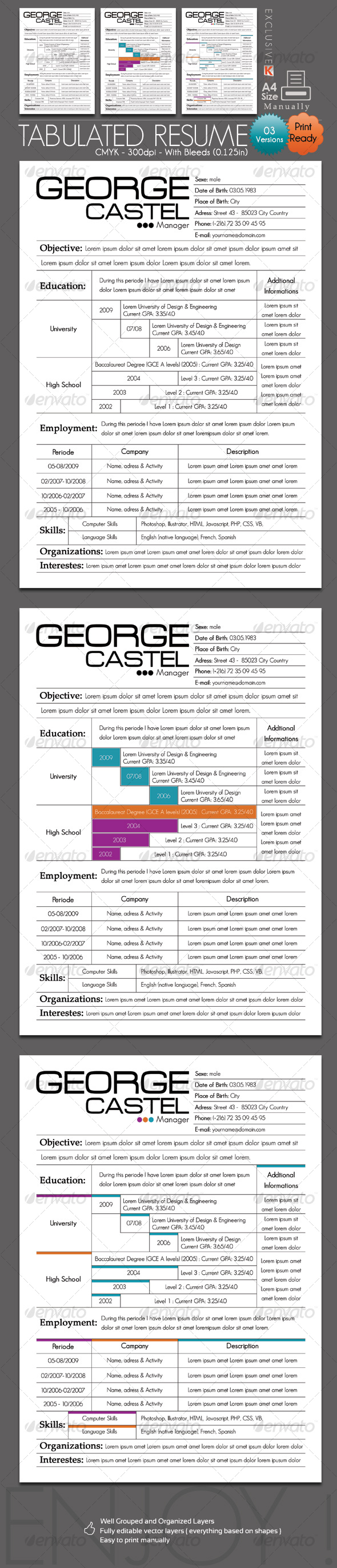 Tabulated Resume (03 Different Versions) - Resumes Stationery
