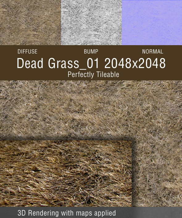 Dead Grass_01 - 3DOcean Item for Sale