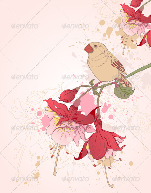 'Graphicriver
