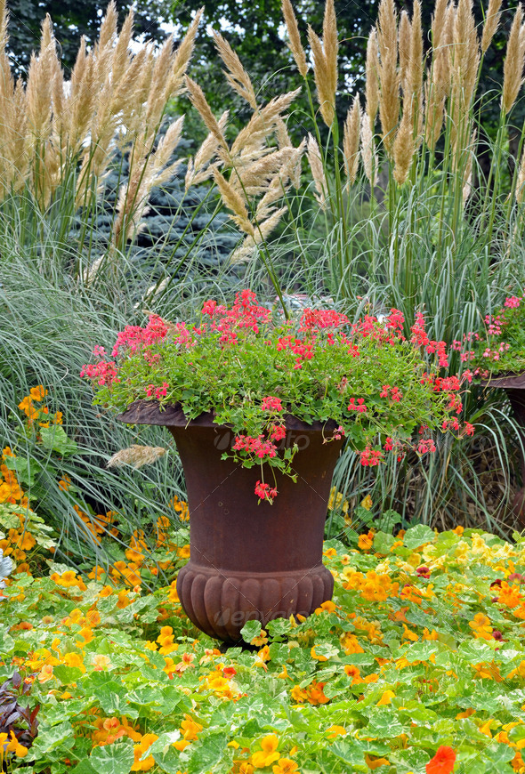 Colorful garden planter