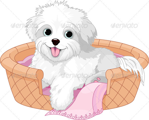 White fluffy dog - Animals Characters