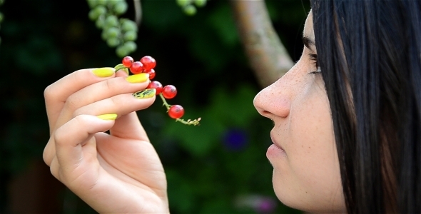 Girl With Berries 2 Girl With Berries 2