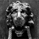 lion85