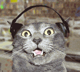 AudioJungle profile picture for @lulu