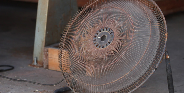 Shop Fan Running Shop Fan Running