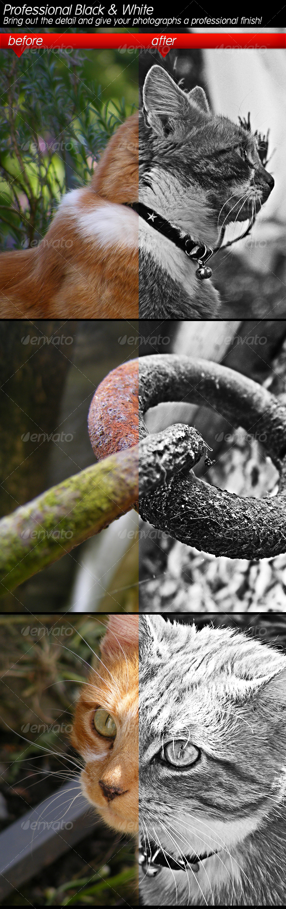 Professional Black & White & Detail All in one - Photo Effects Actions