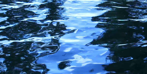 Water Surface Water Surface