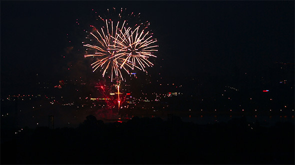 Firework Firework