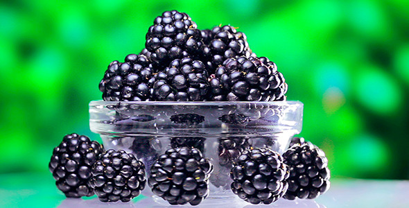 Bramble Heap Rotating On Green Background Bramble Heap Rotating On Green Background