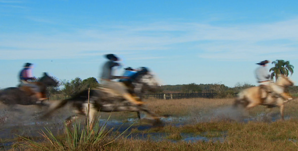 Horses Going Over Water Horses Going Over Water