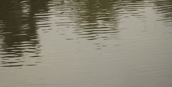 Waving Water Surface Waving Water Surface