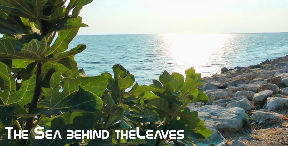 The Sea Behind The Leaves 3 The Sea Behind The Leaves 3