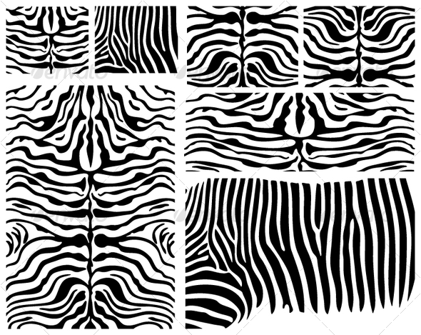 Vector Zebra Skin Vector Zebra Skin