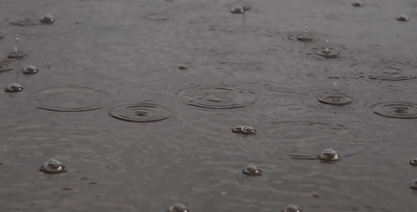 Raindrops Hitting A Puddle Raindrops Hitting A Puddle