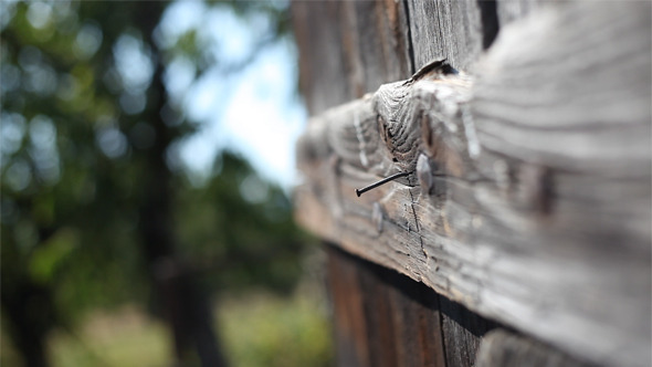 Nail In Old Wood Nail In Old Wood