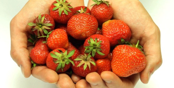 Male Hands With Strawberries Male Hands With Strawberries