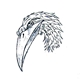 White-Raven