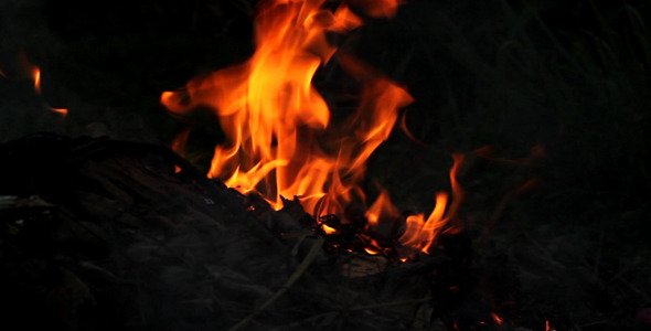 Fire Flame 5 Fire Flame 5