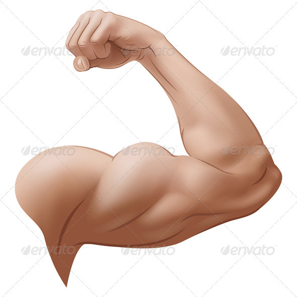 Man s Arm Man s Arm