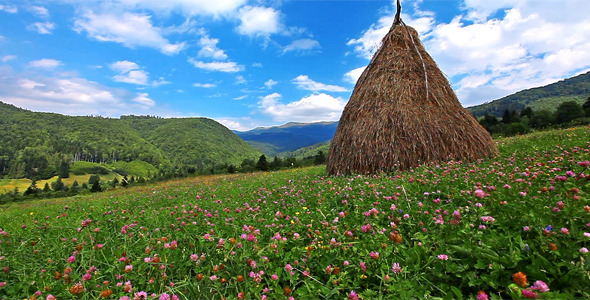 Summer Landscape Summer Landscape