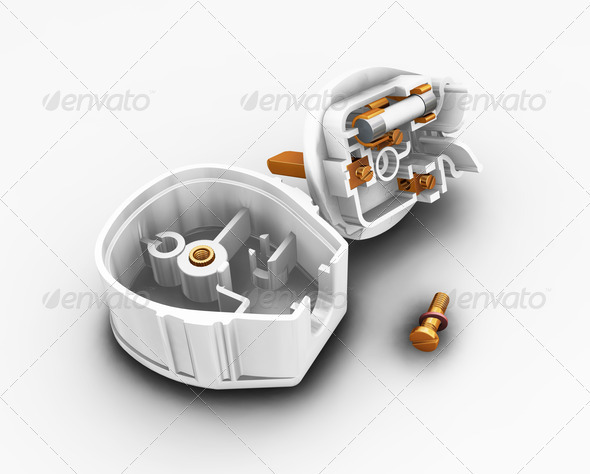 Dismantled plug Dismantled plug