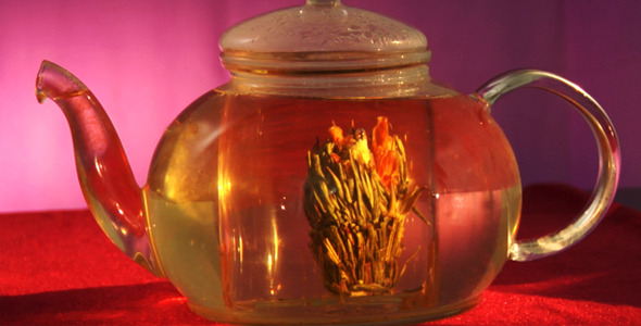 Herbal Tea Infusion 8 Herbal Tea Infusion 8
