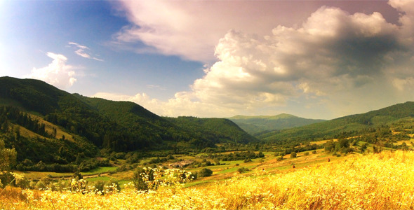 Summer Landscape Summer Landscape