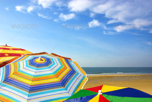 Colorful Sunshades
