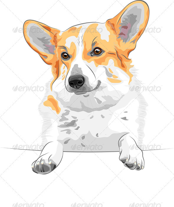 Vector sketch dog Pembroke Welsh corgi smiling Vector sketch dog Pembroke Welsh corgi smiling
