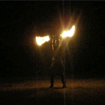 fulgorek
