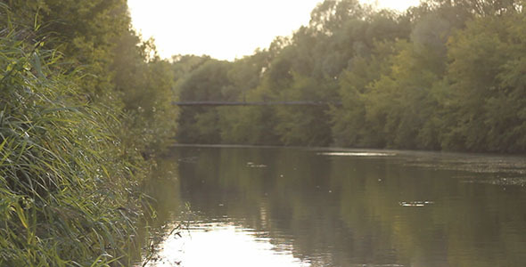 Sun Glare And River Sun Glare And River