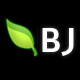 bjnet