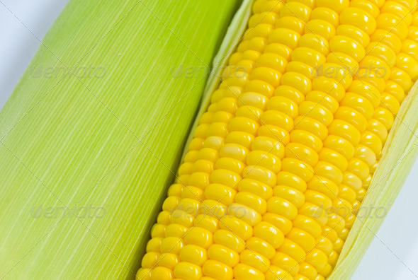 Sweet corn ears