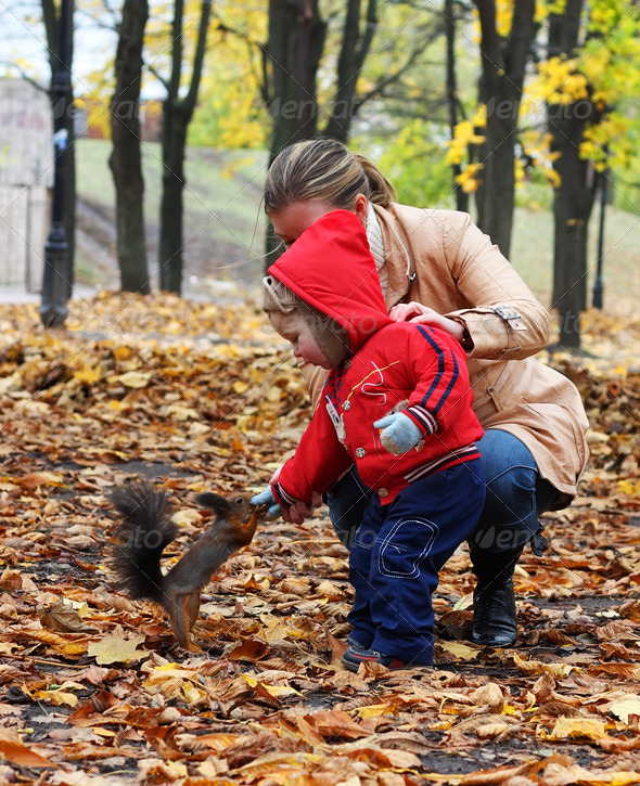 Little boy feeds a squirrel