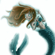 ThemeForest profile picture for @mermaid