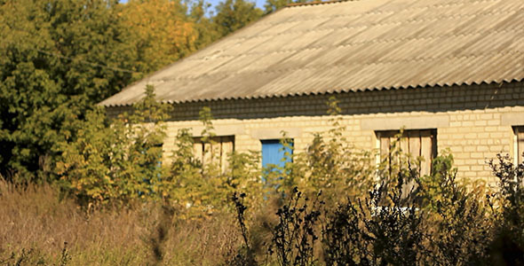 Dry Stalks And Old Building Dry Stalks And Old Building